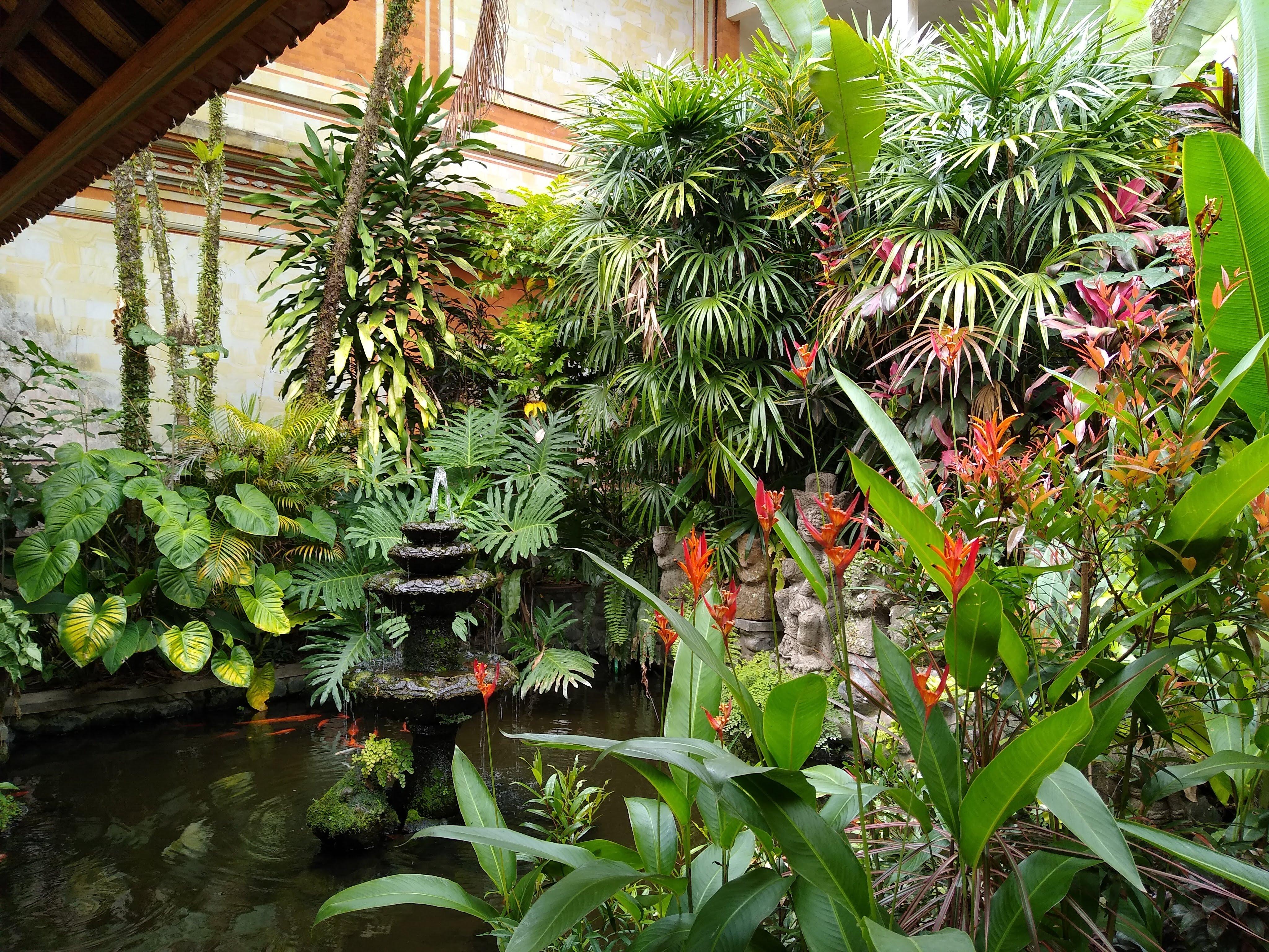 Naka Contemporary Art Gallery